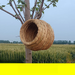 Bird Bird's Straw Eaves Outdoor Winter Warm Indoor Sleeping Hanging Swallow Artificial Nest_maomaolike.com