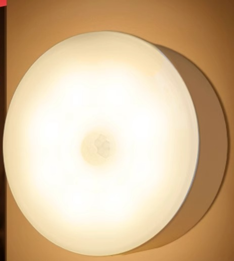 Smart Human Body Automatic Sensor Night Light Rechargeable For Entryway Corridor, Lights Up When People Approach,_maomaolike.com