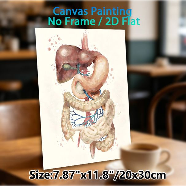 Digestive System Painting Poster, Soft-toned Watercolor Anatomical Poster, Clear Display Of Digestive Organs, Ideal For Medical Office And Study Space_maomaolike.com