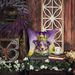 Australian Shepherd King Of Mardi Gras Throw Pillow Machine Washable, Indoor Outdoor Decorative Pillow For Couch, Bed Or Patio, 14Hx14W_maomaolike.com