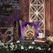 Yorkshire Terrier King Of Mardi Gras Throw Pillow Machine Washable, Indoor Outdoor Decorative Pillow For Couch, Bed Or Patio, 18Hx18W_maomaolike.com
