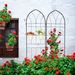 2 Pack Metal Garden Trellis 78.7" X 19.7" Rustproof Trellis For Climbing Plants Outdoor Flower Support Black_maomaolike.com