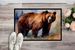 Grizzly Bear Doormat Front Door Mat Indoor Outdoor Rugs For Entryway, Non Slip Washable Low Pile, 24H X 36W_maomaolike.com