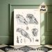 Equine Skull Anatomy Painting Poster, Vintage Detailed Black-and-White Anatomical Illustration Poster, Informative Educational Decor Suitable For_maomaolike.com