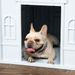 PawHut Plastic Dog House, Water Resistant Puppy Shelter Indoor Outdoor With Door, Easy To Assemble, For Medium And Small Dogs, Blue_maomaolike.com