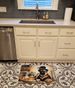 Pug Fall Kitchen Pumpkins Memory Foam Kitchen Mat Machine Washable Anti-Fatigue Mat Cushion Comfort Bath Mat Or Kitchen Rug_maomaolike.com