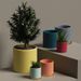 Nordic Style Morandi INS Ceramic Flower Pot Succulent Plant Modern Simple Personality Green Radish Rose Tray_maomaolike.com