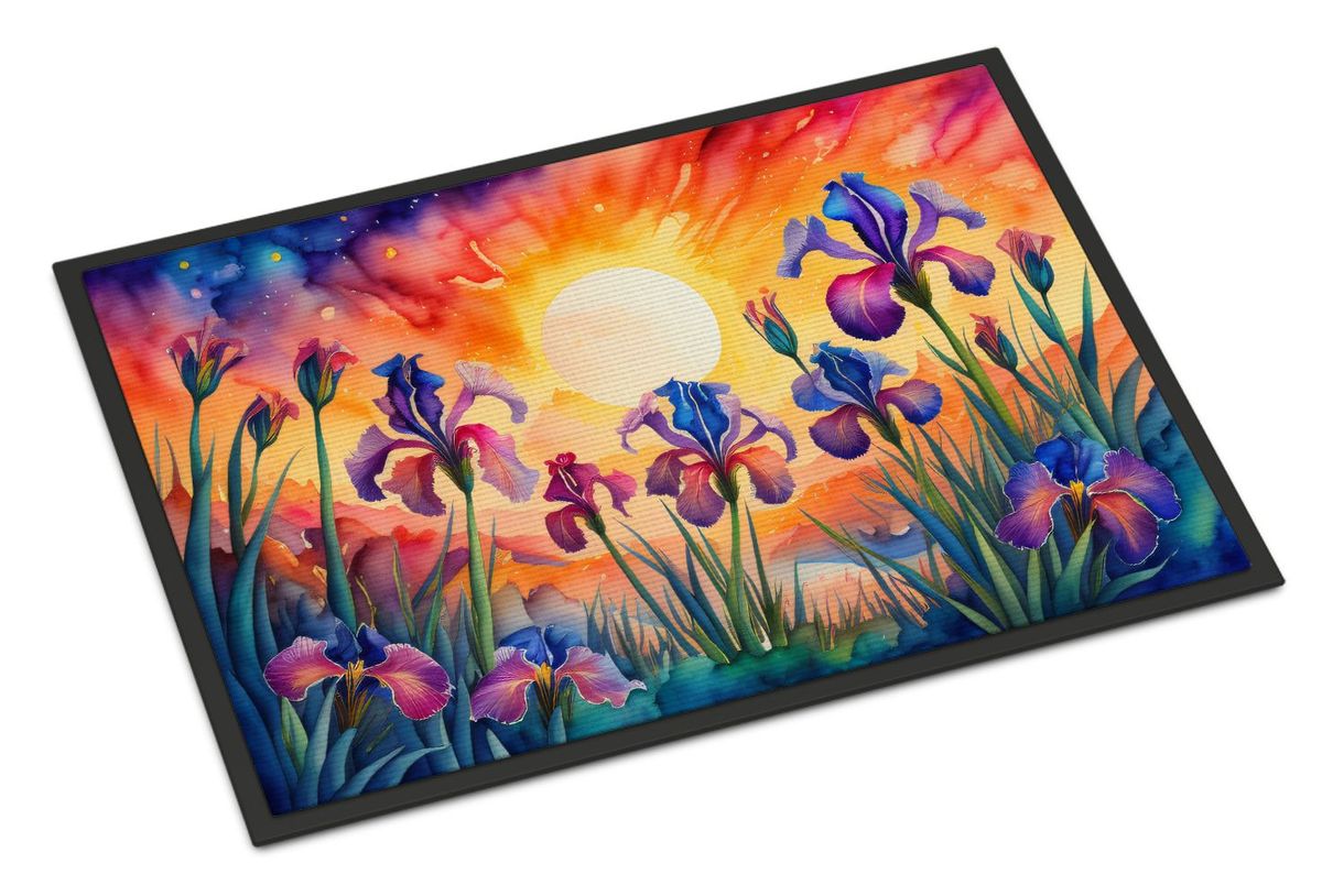Iris In Color Doormat Front Door Mat Indoor Outdoor Rugs For Entryway, Non Slip Washable Low Pile, 24H X 36W_maomaolike.com