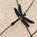 4 Pack Metal Garden Trellis 71" X 19.7" Rustproof Trellis For Climbing Plants Outdoor Flower Support Dragonfly Deco Black_maomaolike.com