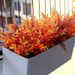 9pcs Simulation Flowers, Artificial Plastic Flowers, Fake Flowers, Holiday Garden Home Decoration Ornaments_maomaolike.com