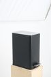 SSTC101-10L-B, Stainless Steel Kitchen Trash Can, 10L, Black_maomaolike.com