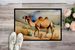 Camel Doormat Front Door Mat Indoor Outdoor Rugs For Entryway, Non Slip Washable Low Pile, 24H X 36W_maomaolike.com