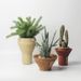 Nordic European Style Ceramic Flower Pot For Succulents And Plants, Modern Simple Personality Green Radish Rose Vintage Portrait_maomaolike.com