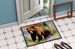 Grizzly Bear Doormat Front Door Mat Indoor Outdoor Rugs For Entryway, Non Slip Washable Low Pile, 24H X 36W_maomaolike.com