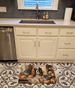 Cavalier Spaniel Fall Kitchen Pumpkins Memory Foam Kitchen Mat Machine Washable Anti-Fatigue Mat Cushion Comfort Bath Mat Or Kitchen Rug_maomaolike.com