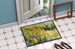 Nebraska Goldenrod In Watercolor Doormat Front Door Mat Indoor Outdoor Rugs For Entryway, Non Slip Washable Low Pile, 24H X 36W_maomaolike.com