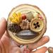 Natural Plant Dried Flowers Handmade DIY Creative Gift Car Air Freshener Decoration Home Refrigerator Magnetic Sticker Ornament_maomaolike.com