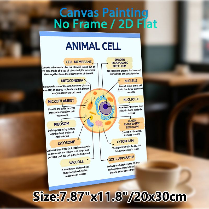 Animal Cell Diagram Painting Poster, Clear Labeled Scientific Illustration Poster, Informative Guide To Learn Animal Cell Structures, Ideal For Study_maomaolike.com