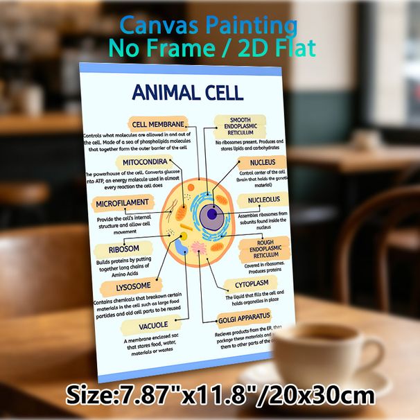 Animal Cell Diagram Painting Poster, Clear Labeled Scientific Illustration Poster, Informative Guide To Learn Animal Cell Structures, Ideal For Study_maomaolike.com