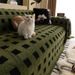 Nordic Minimalist Cover 2026 All-Season Universal C, Luxurious High-End, Full-Cage Blanket, Fleece-Lined And Thickened,_maomaolike.com