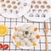 artifact Tool Creative 19-hole Lazy Making Wonton Household Mold Pinch Dumpling Speed_maomaolike.com