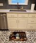 Havanese Fall Kitchen Pumpkins Memory Foam Kitchen Mat Machine Washable Anti-Fatigue Mat Cushion Comfort Bath Mat Or Kitchen Rug_maomaolike.com