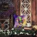 Rat Terrier King Of Mardi Gras Throw Pillow Machine Washable, Indoor Outdoor Decorative Pillow For Couch, Bed Or Patio, 14Hx14W_maomaolike.com