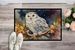 Snowy Owl Doormat Front Door Mat Indoor Outdoor Rugs For Entryway, Non Slip Washable Low Pile, 24H X 36W_maomaolike.com
