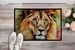 Lion Doormat Front Door Mat Indoor Outdoor Rugs For Entryway, Non Slip Washable Low Pile, 24H X 36W_maomaolike.com