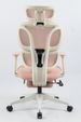 Ergonomic Office Chair With Footrest, High Back Computer Office Chair With Dynamic Lumbar Support, 2D Headrest, 2D Armrest, Sponge Seat, Mesh Home Office Desk Chair For Adults, Pink_maomaolike.com
