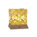 Mirror Tulip Rose Sea Ornament DIY Cube Mirror Ambiance Night Light Gift For Girlfriends And Couples_maomaolike.com