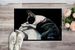 Boston Terrier Spot In The Sun Doormat Front Door Mat Indoor Outdoor Rugs For Entryway, Non Slip Washable Low Pile, 24H X 36W_maomaolike.com