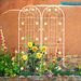 4 Pack Metal Garden Trellis 71" X 19.7" Rustproof Trellis For Climbing Plants Outdoor Flower Support Cream White_maomaolike.com