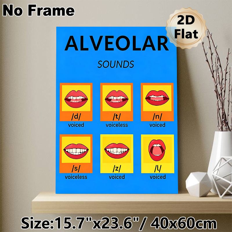 Alveolar Sounds Painting Poster, Bright & Clear Phonetics Chart Poster, Displays Mouth Shapes For English Alveolar Sounds, Helpful For Pronunciation_maomaolike.com