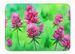 Vermont Red Clover In Watercolor Memory Foam Kitchen Mat Machine Washable Anti-Fatigue Mat Cushion Comfort Bath Mat Or Kitchen Rug_maomaolike.com