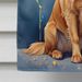 Nova Scotia Duck Tolling Retriever Happy Birthday House Flag Large Porch Sleeve Pole Decorative Outside Yard Banner Artwork Wall Hanging, Polyester, House Size, Multicolor_maomaolike.com