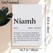 Niamh Name Meaning Painting Poster, Minimalist Typographic Text Poster, Informative Irish Lore Content Ideal For Home Wall Decor, Bedroom, Living Room_maomaolike.com