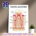 Tooth Anatomy Painting Poster, Detailed Labeled Medical Illustration Poster, Informative Dental Structure Reference, Suitable For Dental Clinics_maomaolike.com