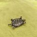Handcrafted Precision Cast Polished Brass Golden Small Longevity Turtle Plaything Handheld Ornament Tea Pet Craft_maomaolike.com