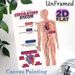Circulatory System Painting Poster, Informative Clear Labeled Anatomical Illustration Poster, Educational Design To Learn Human Circulatory Structure_maomaolike.com