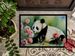 Panda Doormat Front Door Mat Indoor Outdoor Rugs For Entryway, Non Slip Washable Low Pile, 24H X 36W_maomaolike.com
