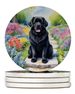 Newfoundland Spring Path Large Sandstone Coasters Pack Of 4 Absorbent Round Coasters Decor Gifts For Men Or Women, 4 In, Multicolor_maomaolike.com