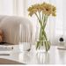 Water Drop Light Luxury High-end Transparent Glass Vase, Suitable Flower Arrangements, Dried Flowers, Water-cultivated_maomaolike.com