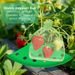8Pcs Strawberry Planting Kit With 20Pcs Insect-proof Mesh Bag Reusable Strawberry Growing Racks Frame Protecting Strawberry Plants_maomaolike.com
