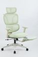 Ergonomic Office Chair With Footrest, High Back Computer Office Chair With Dynamic Lumbar Support, 2D Headrest, 2D Armrest, Sponge Seat, Mesh Home Office Desk Chair For Adults, GREEN_maomaolike.com