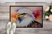 Eagle Doormat Front Door Mat Indoor Outdoor Rugs For Entryway, Non Slip Washable Low Pile, 24H X 36W_maomaolike.com