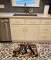 Basset Hound Fall Kitchen Pumpkins Memory Foam Kitchen Mat Machine Washable Anti-Fatigue Mat Cushion Comfort Bath Mat Or Kitchen Rug_maomaolike.com