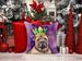 Shar Pei King Of Mardi Gras Throw Pillow Machine Washable, Indoor Outdoor Decorative Pillow For Couch, Bed Or Patio, 14Hx14W_maomaolike.com