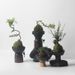 Ceramic Cement Non-Porous Pot Flower Arrangement Micro Landscape Moss Succulent Asparagus Fern Money Tree Green Plant Tea Table_maomaolike.com