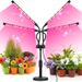 Led Desktop Telescopic Plant Light Full Spectrum Green Plant Aquarium Flower Herb Seedling Plant Growth Fill Light%_maomaolike.com